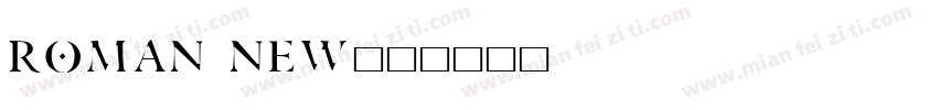 roman new字体转换